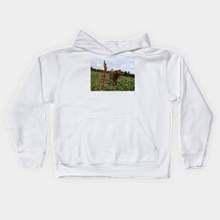 Scottish Highland Cattle Calf 1475 Kids Hoodie